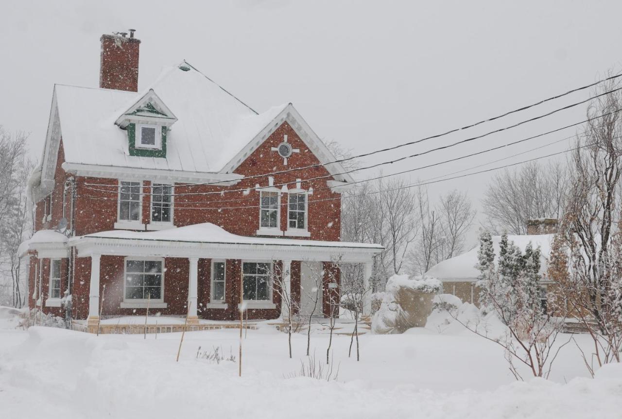 Napier House Apartman Campbellton Kültér fotó
